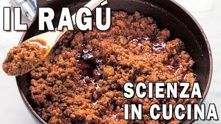 IL RAGÚ - La Scienza in Cucina