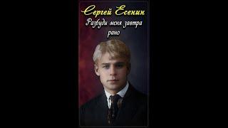 Разбуди меня завтра рано - Сергей Есенин (читает Сергей Безруков) #shorts