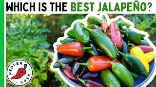 Which Is The BEST JALAPEÑO Pepper? Tasting 8 Varieties - Pepper Geek