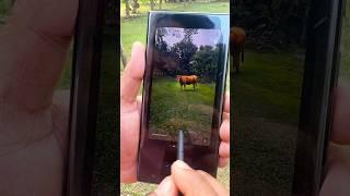 S23 Ultra Ai #viralvideo #newtrend #zoom #s23ultrazoomtest #Ai