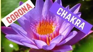 SEPTIMO CHAKRA: Meditación guiada para activar el chakra Corona