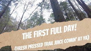 Day 1 | Appalachian Trail Thru Hike 2024 | Fresh Pressed Trail Juice Comin' At Ya