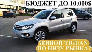 Автоподбор Минск БЮДЖЕТ ДО 10.000$  **РАЗОВЫЙ ОСМОТР**