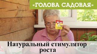 Голова садовая - Натуральный стимулятор роста