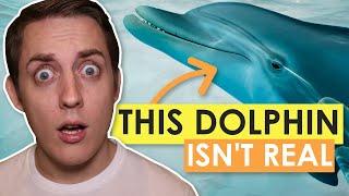 This Dolphin Isn't Real