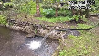 #vlog78 4 Hectares Farm Lot w/ Batis Lagoon