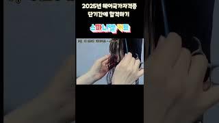 스파니엘커트  2025년 헤어국가자격증 단기간에 합격하기 노하우  제2과제-헤어커트  #헤어국가자격증 #스파니엘커트  #헤어커트#1인미용실 #헤어미용