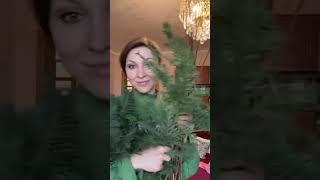 Рождественский венок из живых веточек