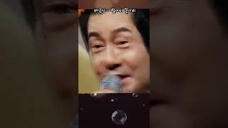배금성 - 벌나비 꽃나비 #트로트 #트롯
