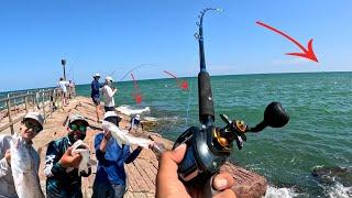 These Redfish were EVERYWHERE! Jetty Fishing Packery Channel(CATCH AND COOK)