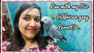 Live with my Rio@reshma rio talks