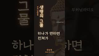생명의 그물 | 모든 존재는 하나로 연결되어 있다 | 화엄경 | 부처님말씀 | 불교 명언