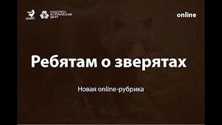 Ребятам о зверятах