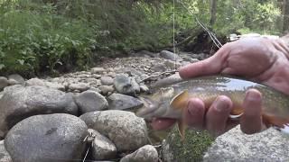 Fishing Colorado,  Vasquez Creek, Small Creek fly fishing