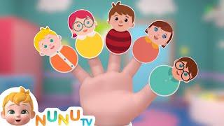 Baby Finger Where Are You? | Finger Family Song | Nursery Rhymes & Kids Songs | NuNu Tv