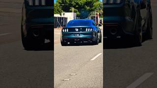Following A Mustang Bullitt Edition #ford #mustang #fordmustang #mustanggt #bullitt #mustangbullitt