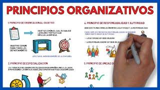 The 12 PRINCIPLES of BUSINESS ORGANIZATION  | Business Economics 140#.