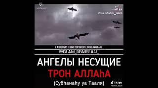 Ангелы несущие трон Аллаха