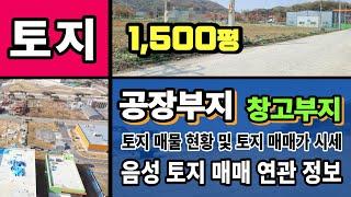 충북 음성 토지! 공장부지 및 창고부지 매매 시세와 매물 현황.