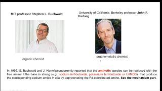 Buchwald -Hartwig Palladium catalyzed cross coupling to make C-N new bond