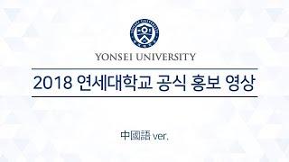 2018 年延世大学官方宣传视频