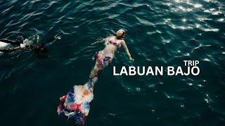 A Labuan Bajo Trip Like You've Never Seen It Before!