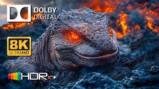 Cosmic Earth in 8K HDR Dolby Vision