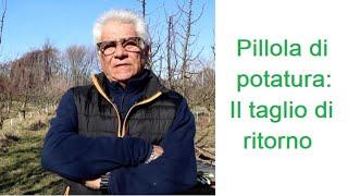 Pillola di potatura:  Il taglio di ritorno