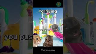 A DAY OUT WITH FRIENDS | The Memeow  #catmeme #cat #shorts #memes #relatable