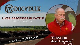 DocTalk Ep 560 - Liver Abscesses with Dr. Dan Loy