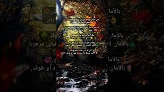 بالأمان تتعامل بلا حدود أو قيود أو خوف.." اقتباسات" حكمة اليوم " نصائح هامه في علم النفس" معلومات