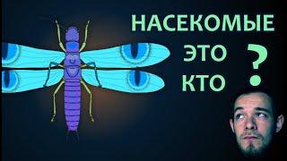 Класс НАСЕКОМЫЕ. Коротко о главном | ЭНТОМОЛОГ from rus