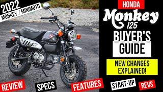 New Honda Monkey 125 Review: Specs, Changes Explained + More! | miniMOTO 125cc Motorcycle