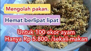 cara mengolah pakan ayam kampung dari bahan seadanya menjadi pakan berkualitas tinggi || TERNAK AYAM