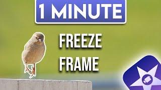 iMovie : How to Freeze Frame