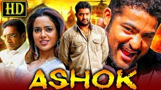 Ashok (HD) South Hindi Dubbed Action Movie | Jr. NTR, Sameera Reddy | Jr NTR Birthday Special