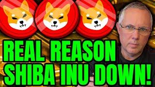 REAL REASON THAT SHIBA INU IS DOWN - REVEALED! SHIBA INU COIN HOLDERS - THIS IMPACTS YOU!