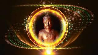 BUDDHA - Kontekst 