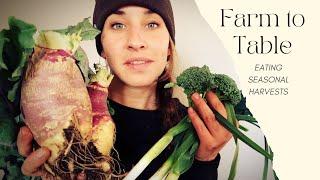 QUICK Farm To Table Dinner | Harvesting the Garden and Eating Seasonally