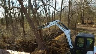 Bobcat e35i Mini Excavator Taking down Big Black Locust Trees & clearing trees