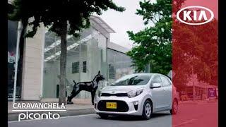 Picanto 2018 ft. Caravanchela | Picanto | Kia Motors Colombia