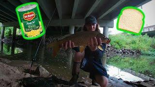 Catching Carp W/ Corn & Bread (Summer Carp Fishing)