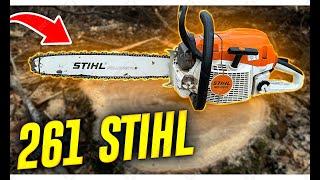 MS 261 C Stihl Review & Demo!