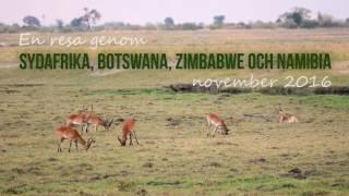 Travel through South Africa, Botswana, Zimbabwe and Namibia