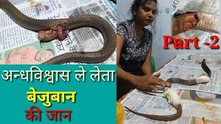 अन्धविश्वास और साँपो के बारे में फैले भ्रम के बीच फँसा ये नाग | injured snake treatment |