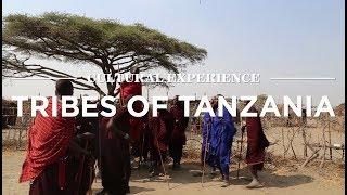 Cultural Experience: Tribes Of Tanzania | Safari365