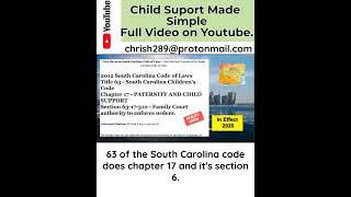 South Carolina child Support - Interesting Facts.  #shorts