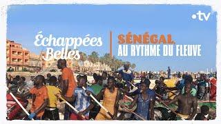 Sénégal, au rythme du fleuve - Échappées belles