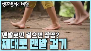 [본방 종합] 맨발 걷기 열풍! 그런데 지금 제대로 걷고 계세요? 손만큼 중요한 발! 제대로 맨발 걷기 | KBS 241009