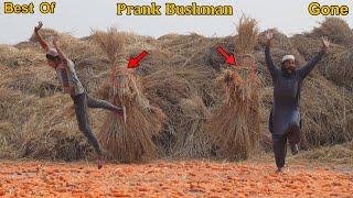 Fainting from Laughter: Best of Ultimate fainted Bushman Prank In Pakistan!